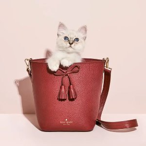 Wine red collection sale @ kate spade