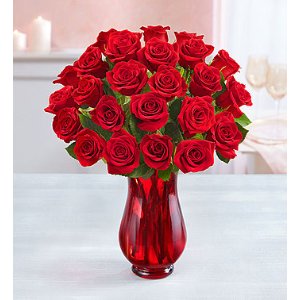 Red Roses Buy 12, Get 12 Free