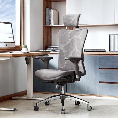  SIHOO M57 Ergonomic Office Chair with 3 Way Armrests