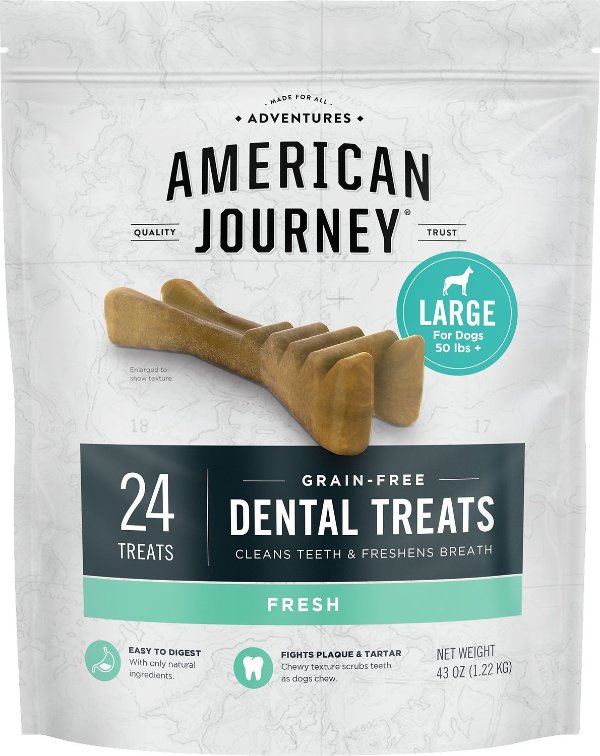 Grain-Free Large Dental Dog Treats Mint Flavor, 24 count - Chewy.com