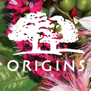 Origins 天然植物护肤品牌 明星产品清单