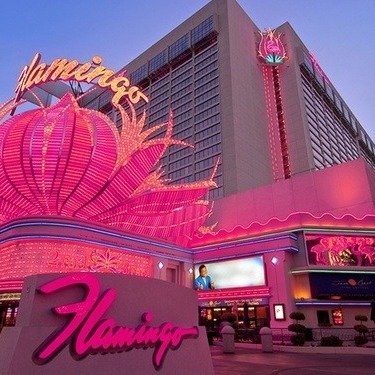 Flamingo Las Vegas