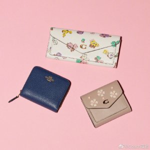 Coach Accessories Collections