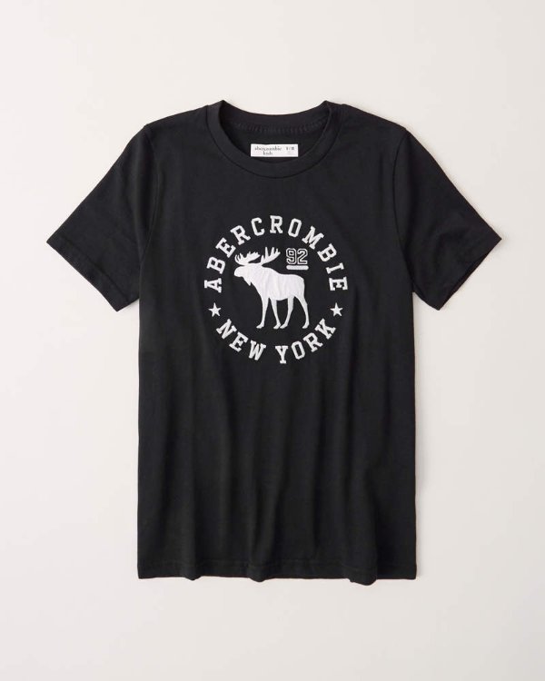 boys embroidered logo tee | boys sale up to 50% off | Abercrombie.com