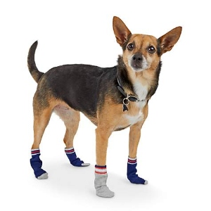 Petco Selected Dog Boots, Shoes, and Socks on Sale