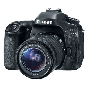 Canon Labor Day Refurbished Products Sale