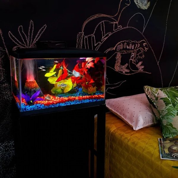 Aqueon Standard Glass Aquarium Tank 10 Gallon | Petco