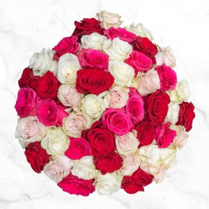 50-stem Shades of Pink Roses