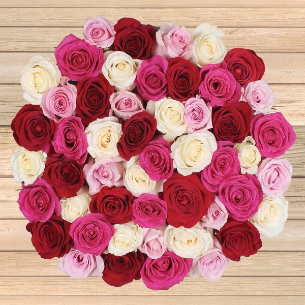Pre-Order Valentine's Day 50-stem Quad-Colored Roses