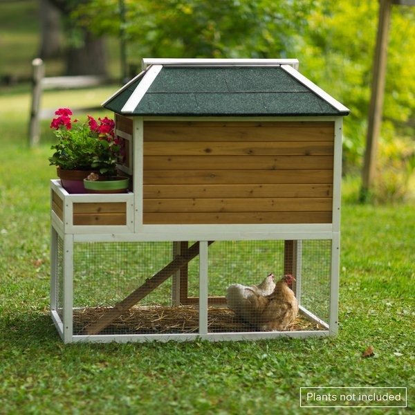 PREVUE PET PRODUCTS Herb Planter Chicken Coop - Chewy.com