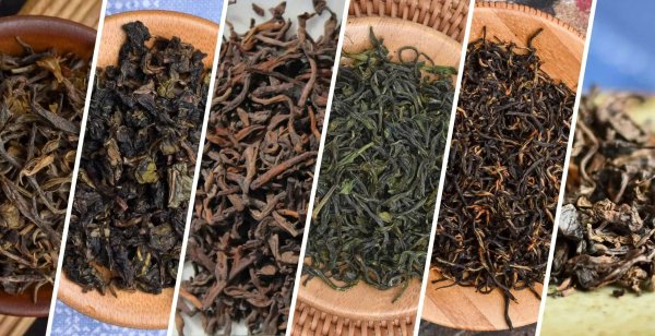 Discover True Single-Origin Tea