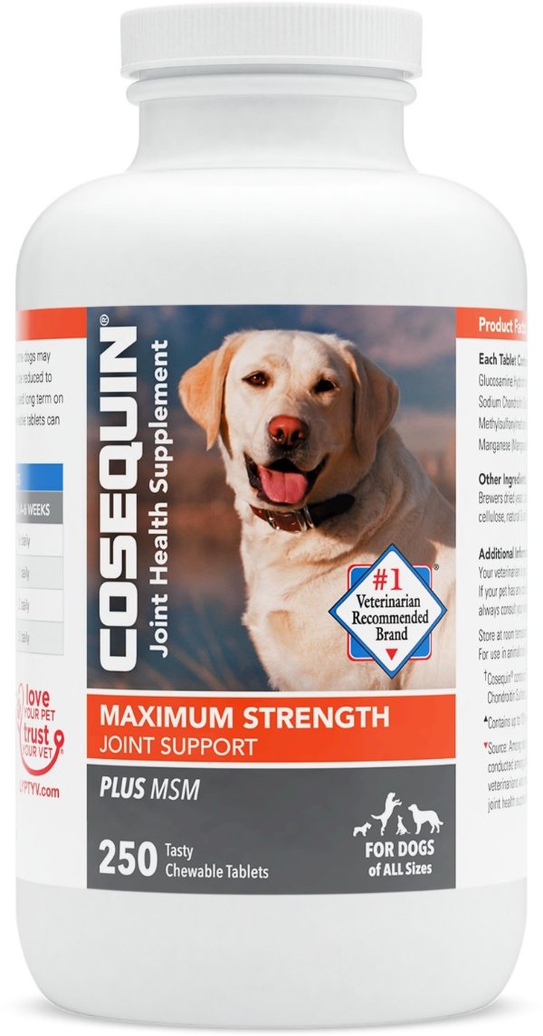 Cosequin Maximum Strength Plus MSM Chewable Tablets Joint Supplement for Dogs, 250-count - Chewy.com