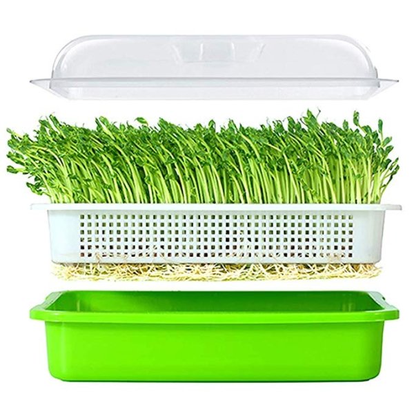 Seed Sprouter Tray BPA Free 13.4x9.84x4.72 inches(LxWxH)