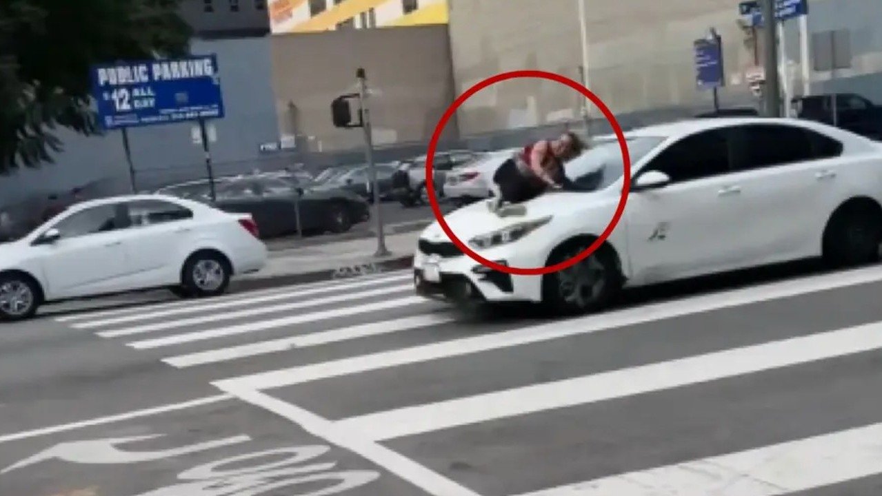 狗被偷后，女子纵身一跃跳上小偷车的引擎盖！在洛杉矶街头一路狂奔