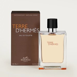 HermesTerre D'Hermes Eau de Toilette spray for Men