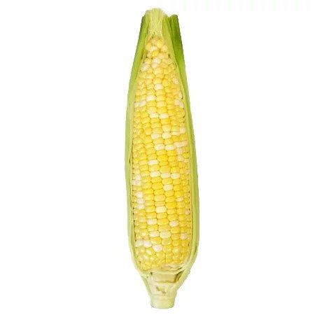 Fresh Corn on the Cob