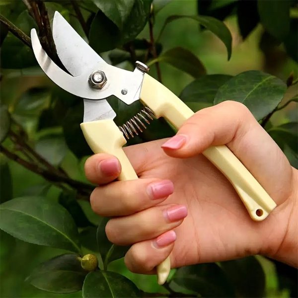 1pc Pruning Shears Stainless Steel Scissors For Flower Branch Garden Hand Pruner Secateurs Gardening Tools - Patio, Lawn & Garden - Temu