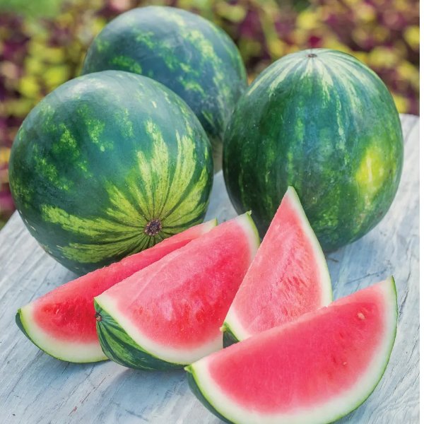Watermelon, Mini Piccolo Hybrid