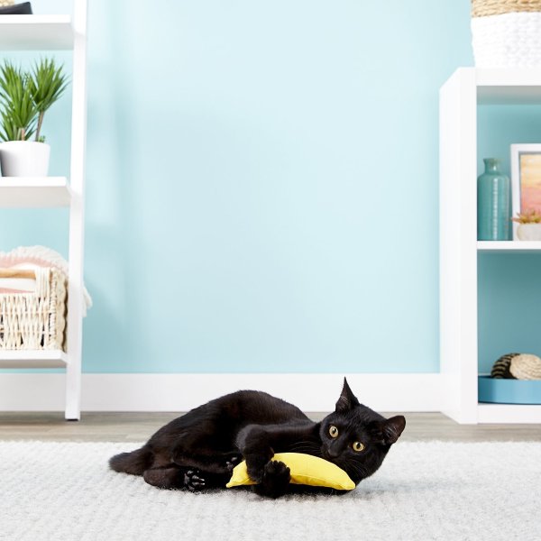 Catnip Yellow Banana Cat Toy - Chewy.com