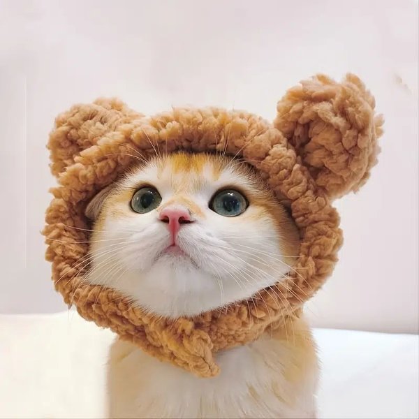 猫咪宠物熊熊帽子