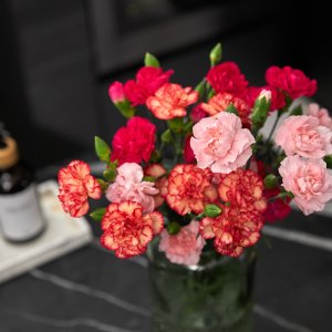 Fresh-Cut Mini Carnations Flower Bunch, Minimum 8 Stems, Colors Vary