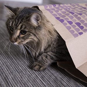SmartyKat 猫咪纸袋玩具