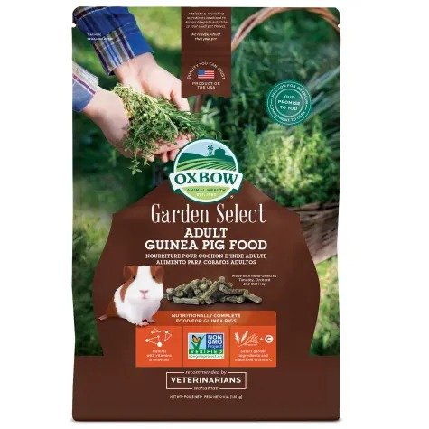 Garden Select Fortified Food for Guinea Pigs | Petco