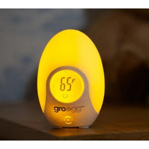 o Company Gro-Egg Room Thermometer