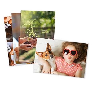 AmazonPhoto Prints – Matte – Standard Size (5x7)