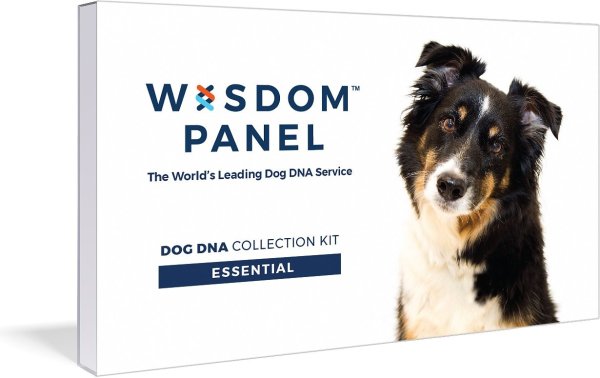 Essential Dog DNA Test - Chewy.com