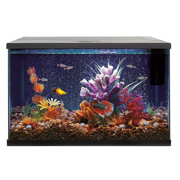 Top Fin® LED Bubble Wall Aquarium Kit