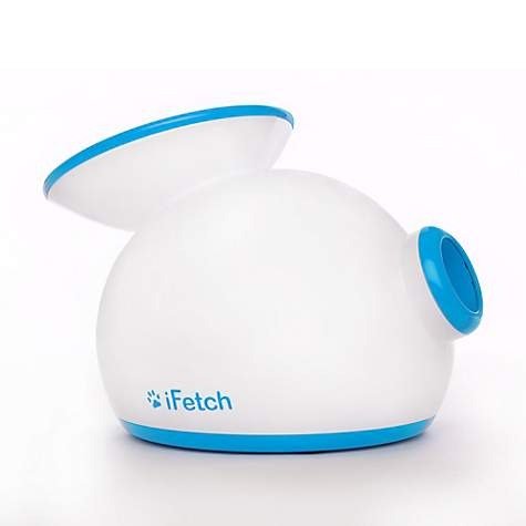 iFetch Interactive Launches Tennis Balls Dog Toys