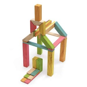 40 Piece Tegu Explorer Magnetic Wooden Block Set, Tints