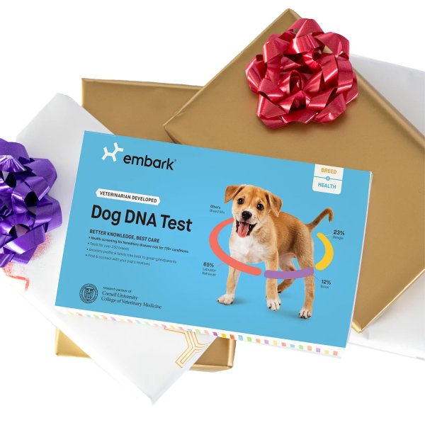 Breed & Health Dog DNA Test | Petco