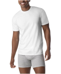 Walmart Hance Men's Extreme Value FreshIQ ComfortBlend 12 Pack White  Tagless Crew T-Shirt 16.00