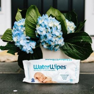 WaterWipes 敏感肌肤用 宝宝湿巾