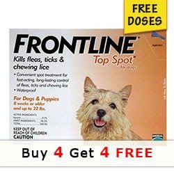 Top Spot for Dogs: BuyTop Spot Flea Treatment Online