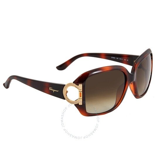 Brown Gradient Rectangular Ladies Sunglasses SF666S 238 55
