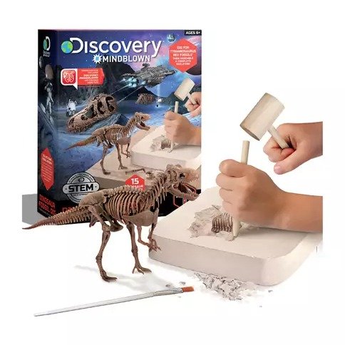 15 Piece 3D Dinosaur Excavation Kit