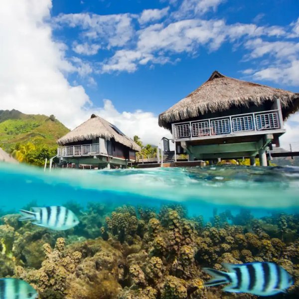 Polynesian Paradise