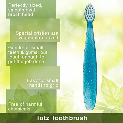 Radius Totz Toothbrush -- 6 per case