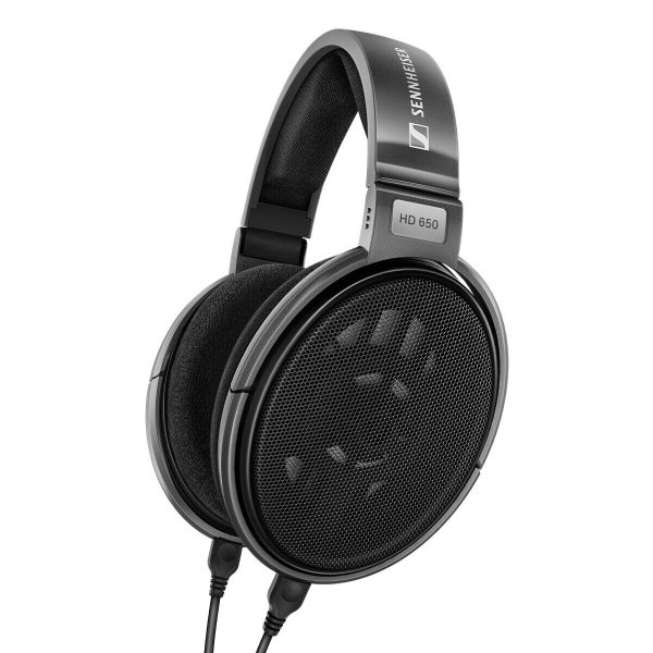 HD 650 Open Dynamic Wired Headphones with Adapter