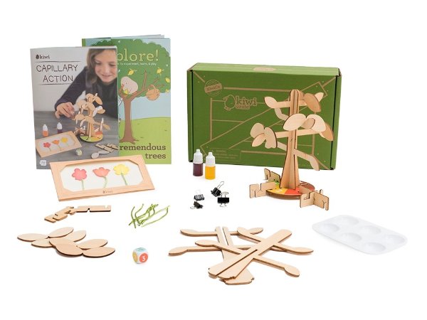 Science of Trees Ages 5+