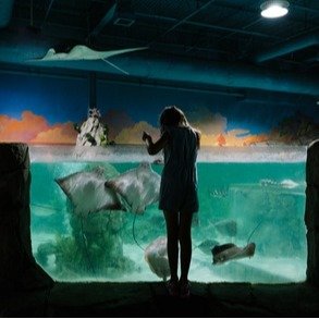 SeaQuest Aquarium and Zoo