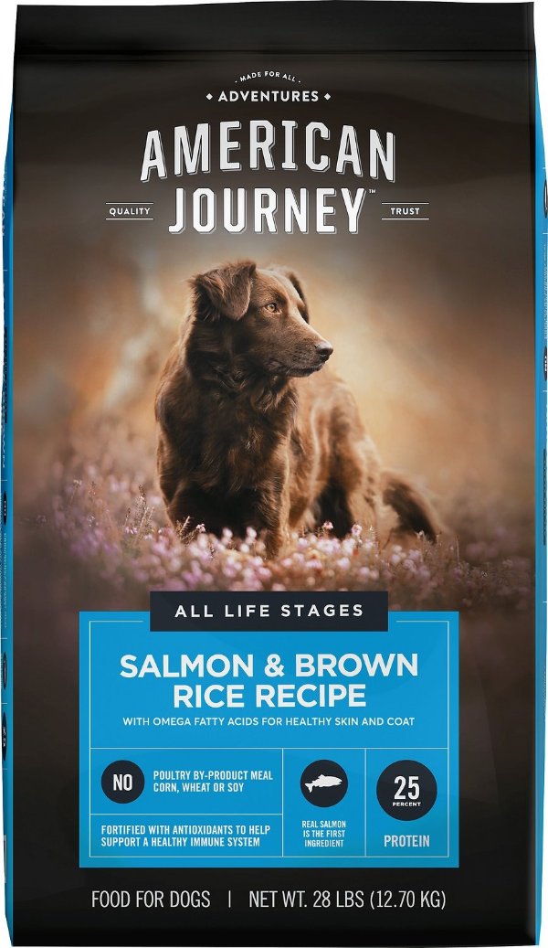 Salmon & Brown Rice Protein First Recipe Dry Dog Food, 28-lb bag - Chewy.com