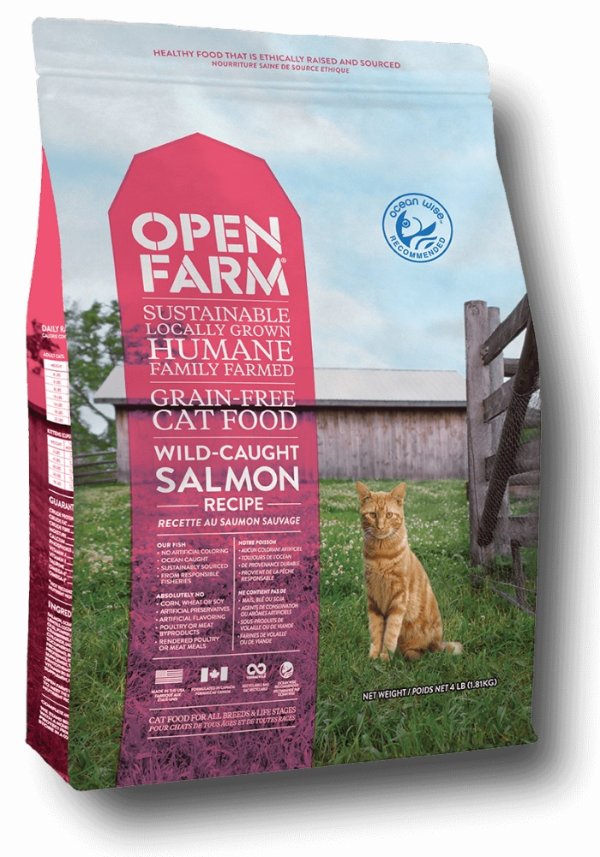 Grain Free Wild Caught Salmon Recipe Dry Cat Food | Petflow