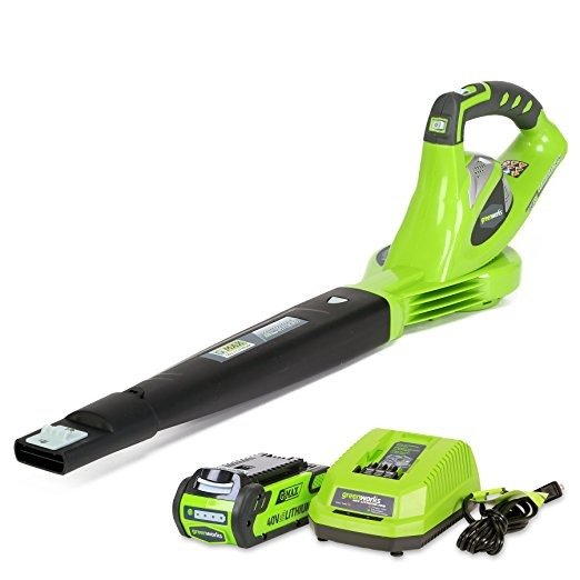 40V 150 MPH Variable Speed Cordless Blower, 2.0 AH Battery Included 24252
