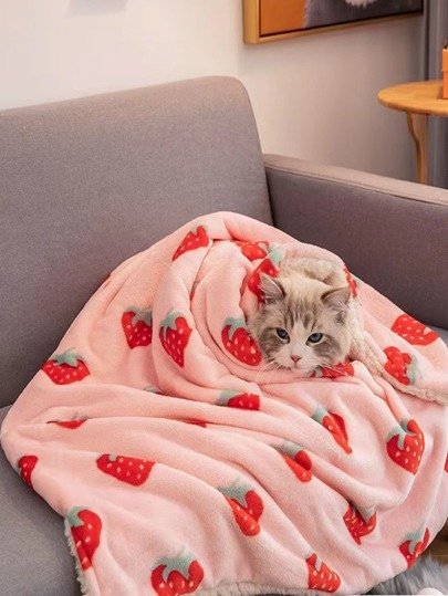 1pc Strawberry Print Plush Pet Blanket
