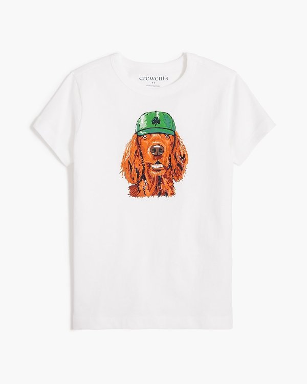 Boys' dog in hat graphic tee