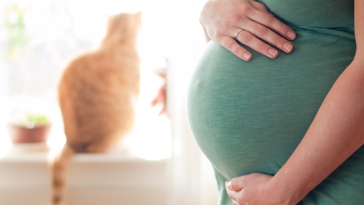 怀孕了可以养猫狗吗？怀孕养宠物注意事项，如何培养宠物与孩子的良好关系